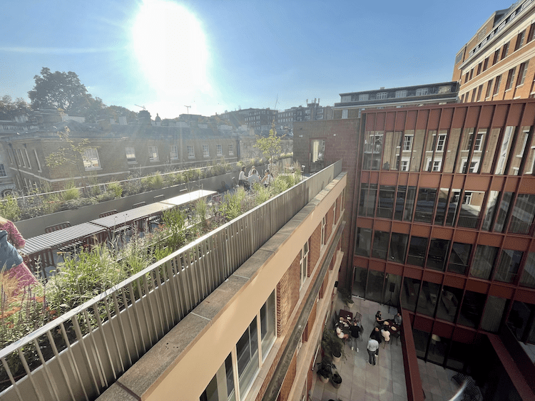 Guide to London Offices in the Summer
